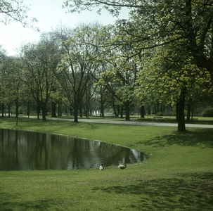 119374 Gezicht in (vermoedelijk) het Park Oog in Al te Utrecht.